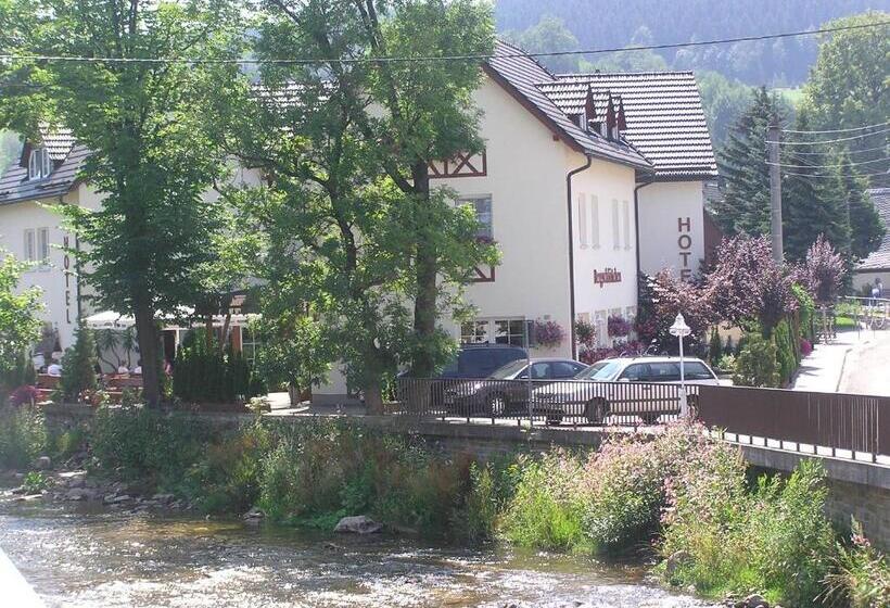 ホテル Bergschlößchen