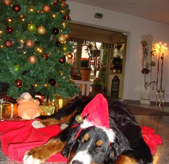 ホテル Bergschlößchen