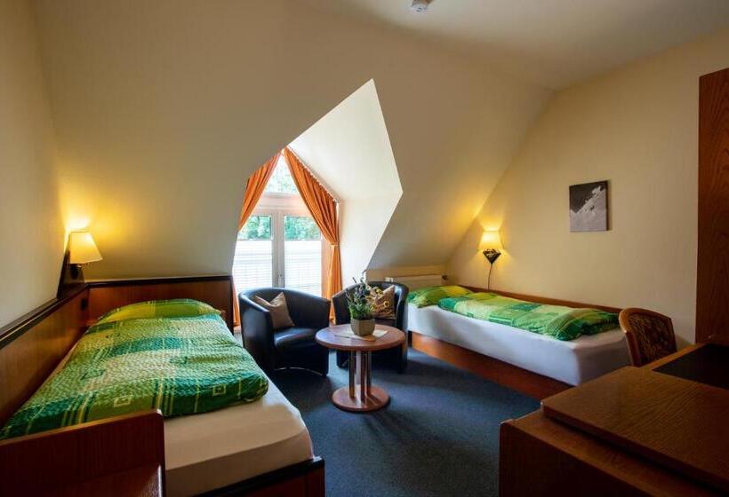 酒店 Brückenschänke