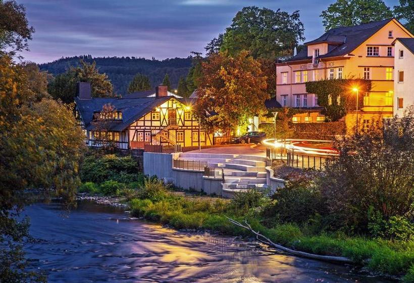 فندق Breidenbacher Hof