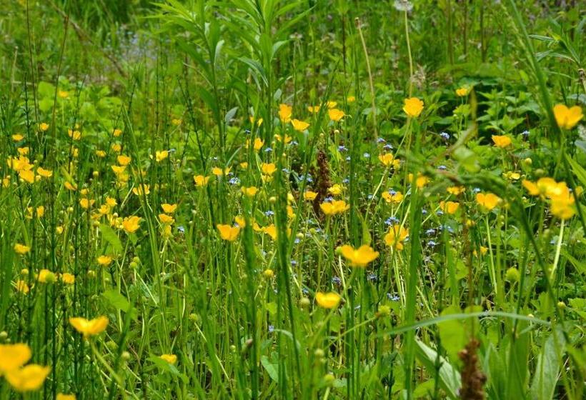 ホテル Christian Garten