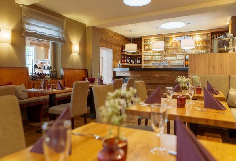 ホテル Ettrich & Elbresort Rathen