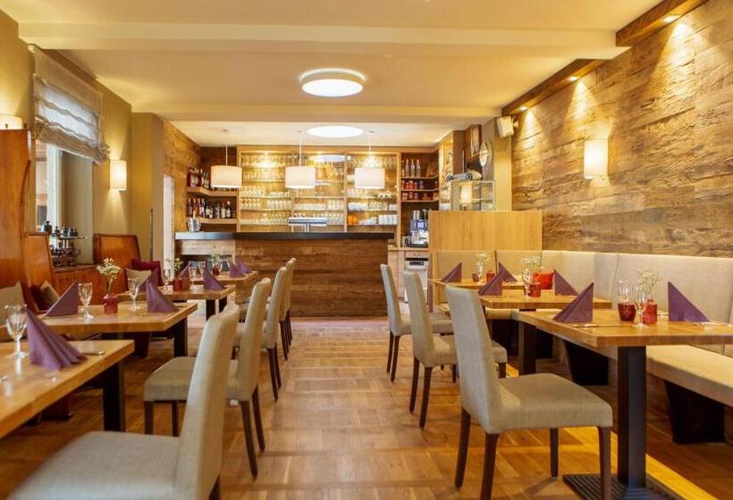 ホテル Ettrich & Elbresort Rathen