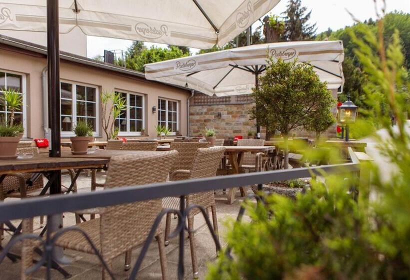 Отель Ettrich & Elbresort Rathen