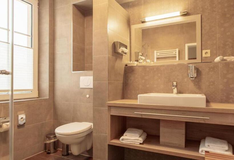 ホテル Ettrich & Elbresort Rathen