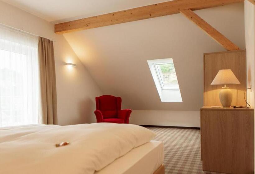 Отель Ettrich & Elbresort Rathen