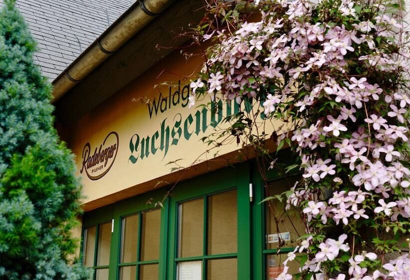 בית מלון כפרי Forsthaus Luchsenburg