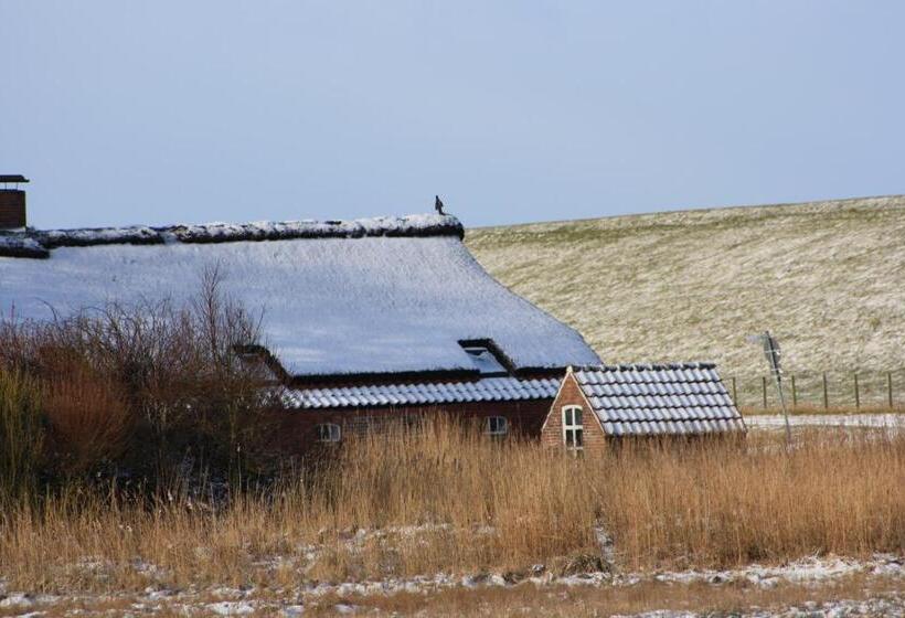 酒店 Gasthof Großer Krug