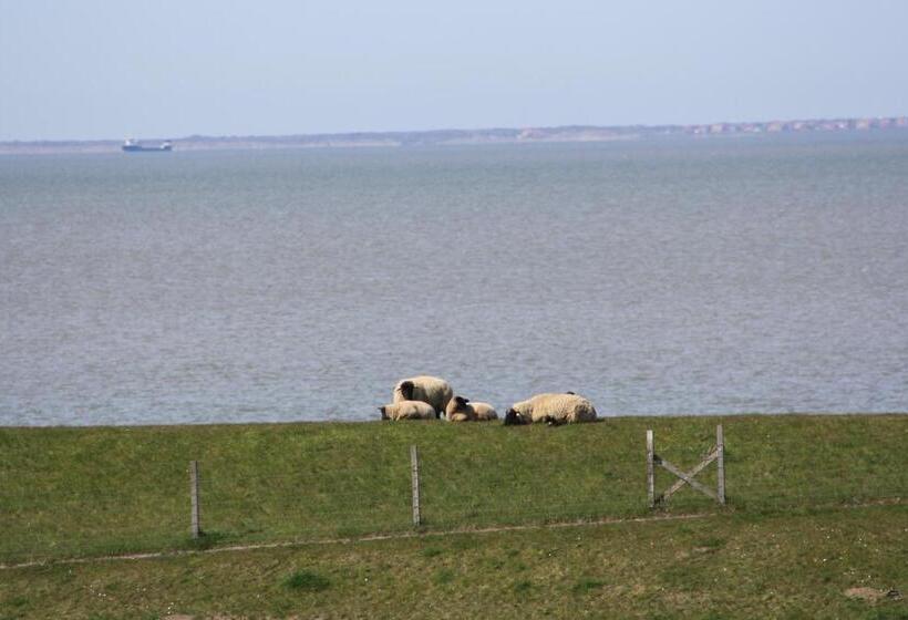 酒店 Gasthof Großer Krug