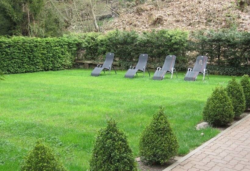 Отель Goldbachel