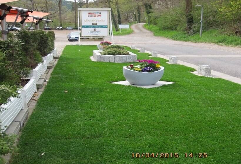 Отель Goldbachel