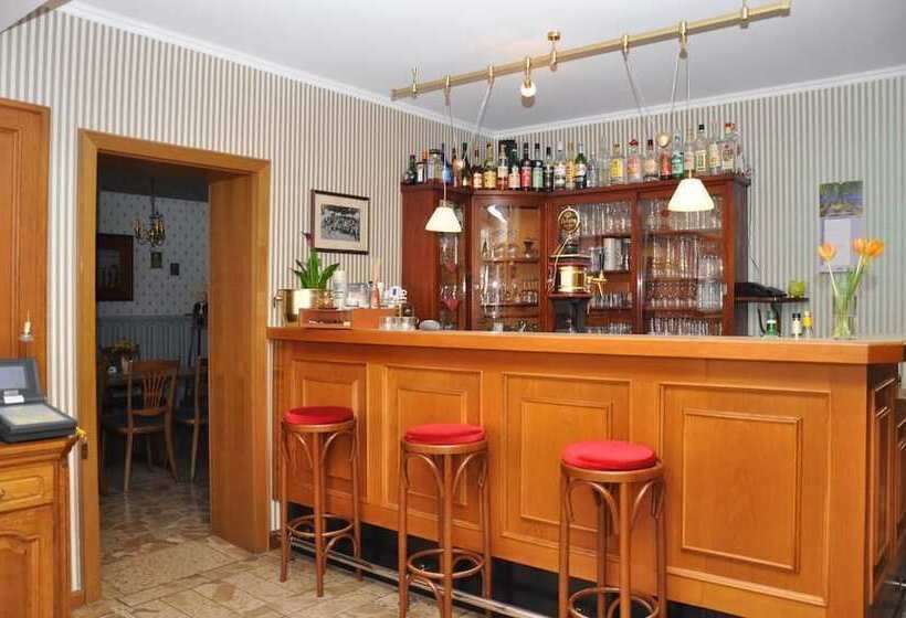 호텔 Goldene Sonne