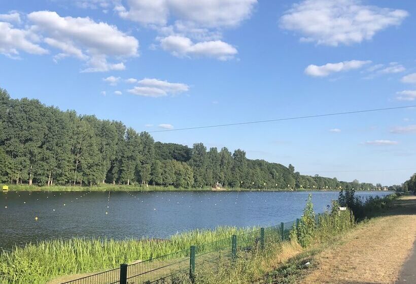 酒店 Goldener Hahn