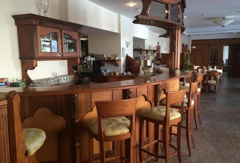 فندق Goldner Loewe