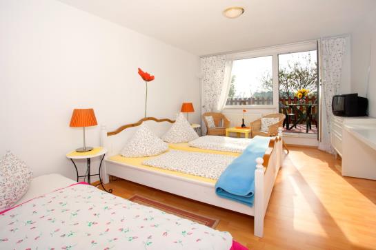 ホテル Green Lemon Haus Krähenhütte