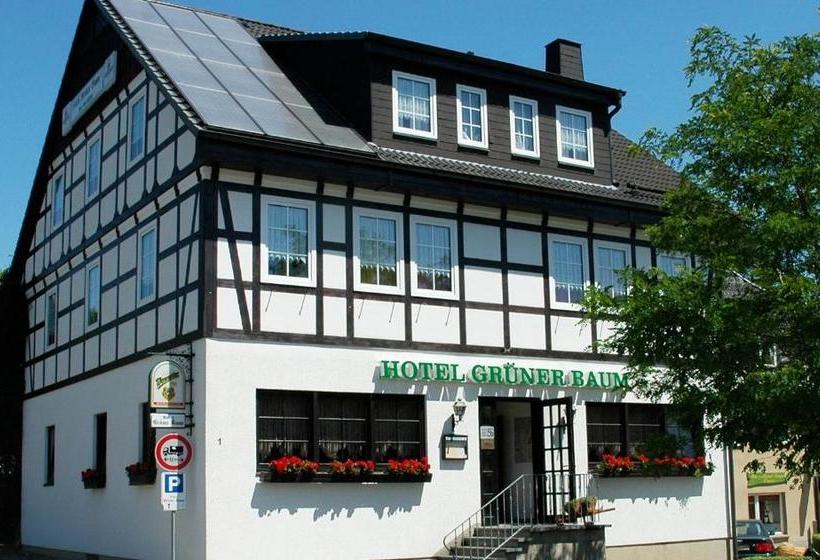 酒店 Grüner Baum