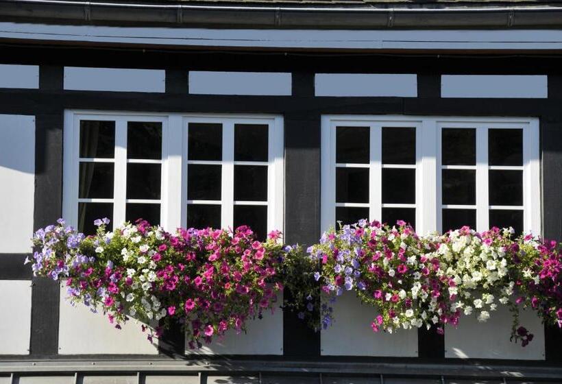 Landidyll Hotel Haus Hochstein