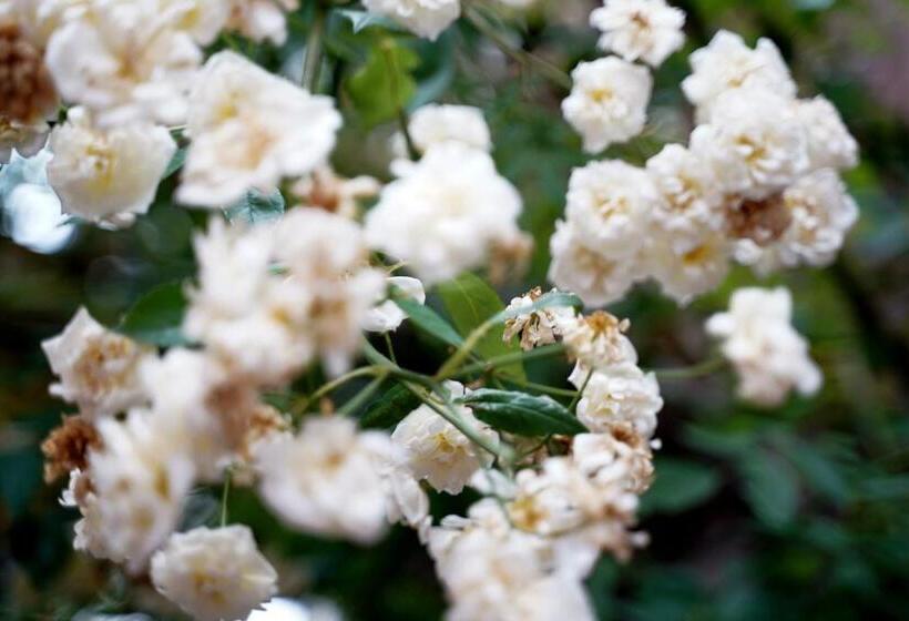 호텔 Im Kupferkessel