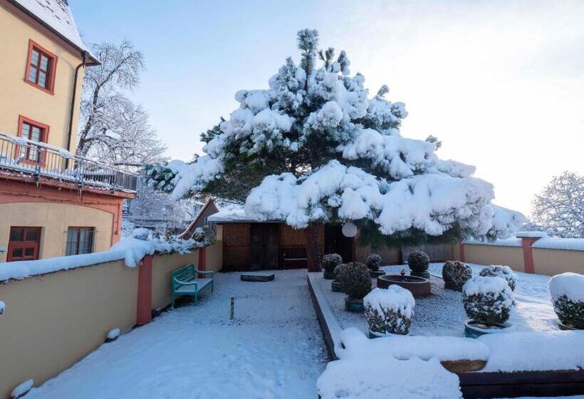 Отель Kollektur