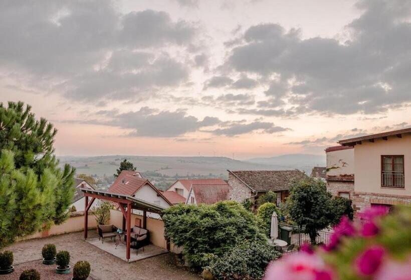 Отель Kollektur