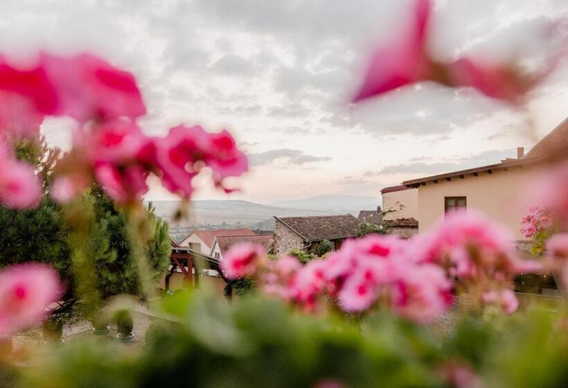 Отель Kollektur