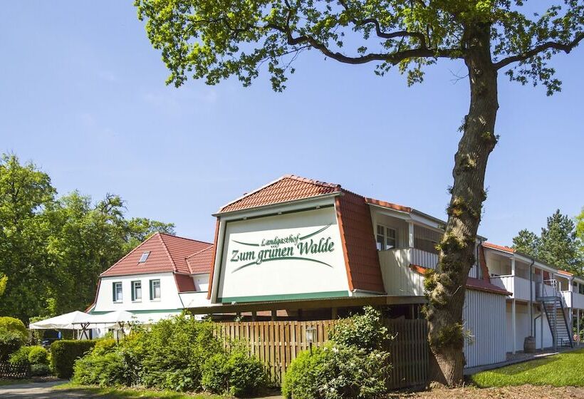 ホテル Landgasthof Zum Grünen Walde