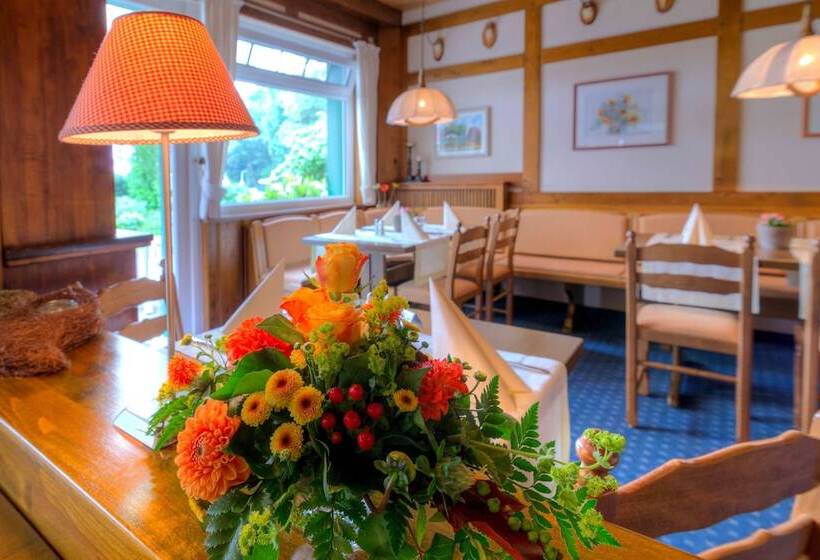 هتل Landgasthof Zum Grünen Walde