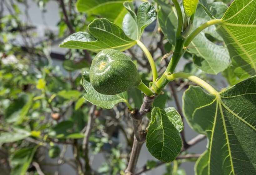 호텔 Landhaus Zur Issel