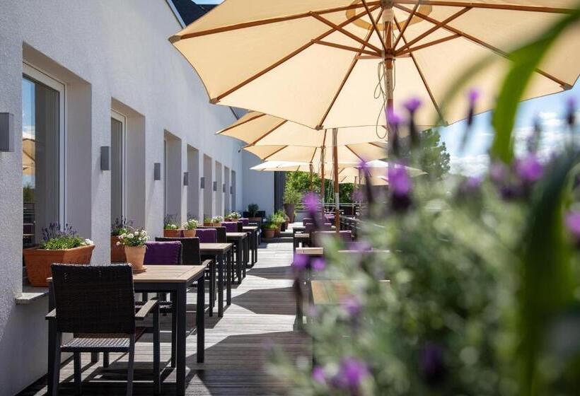 Отель Vulcano Lindenhof