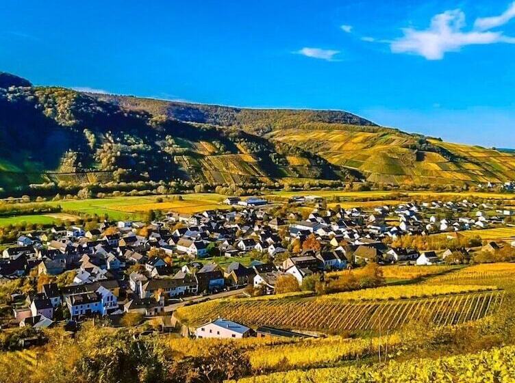 Moselhotel Weinhaus Simon ``sauna``restaurant``eladesäule