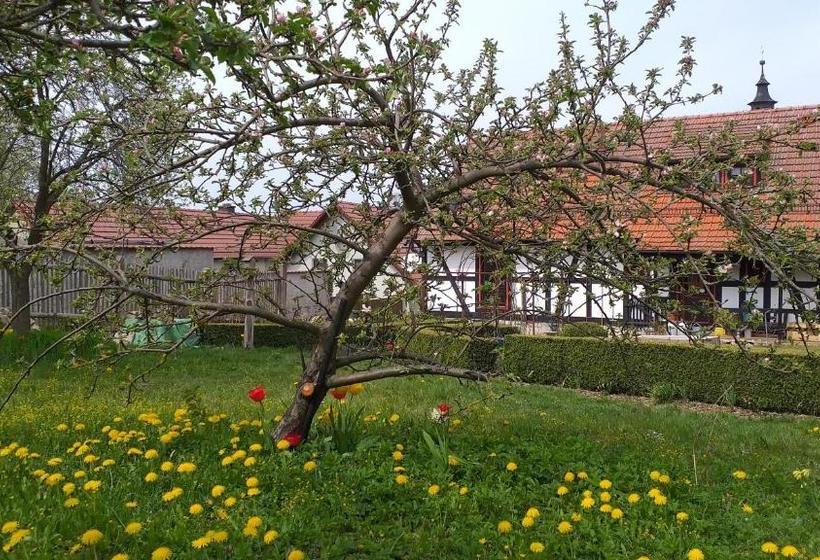 בית מלון כפרי Pension Töpferhof