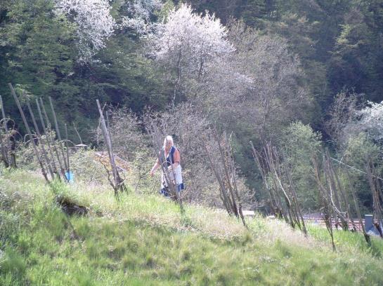 Отель Restaurant Burgschänke