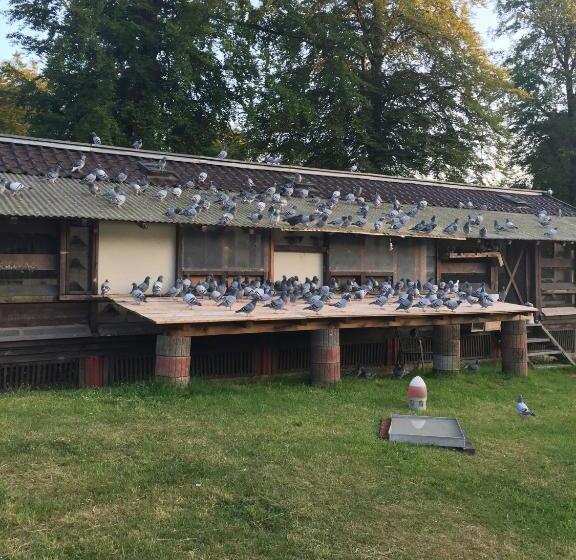 בית מלון כפרי Restaurant Johanniskreuz