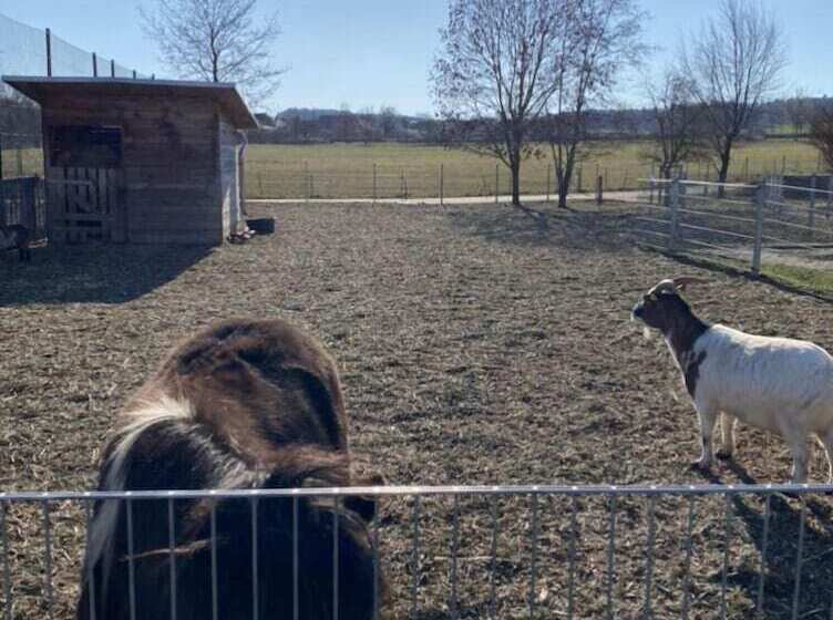 ホテル Restaurant  Pension Zum Aumatal