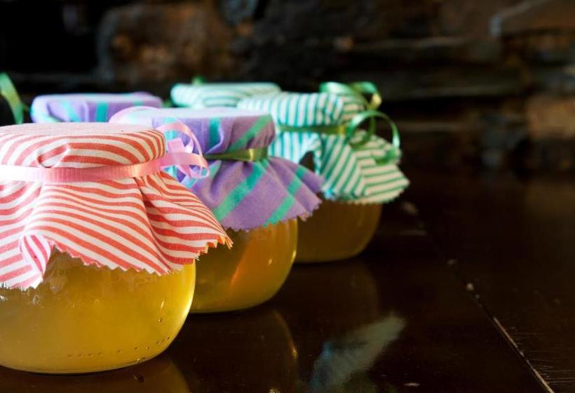 酒店 Frühstücks Pension Zum Postillion