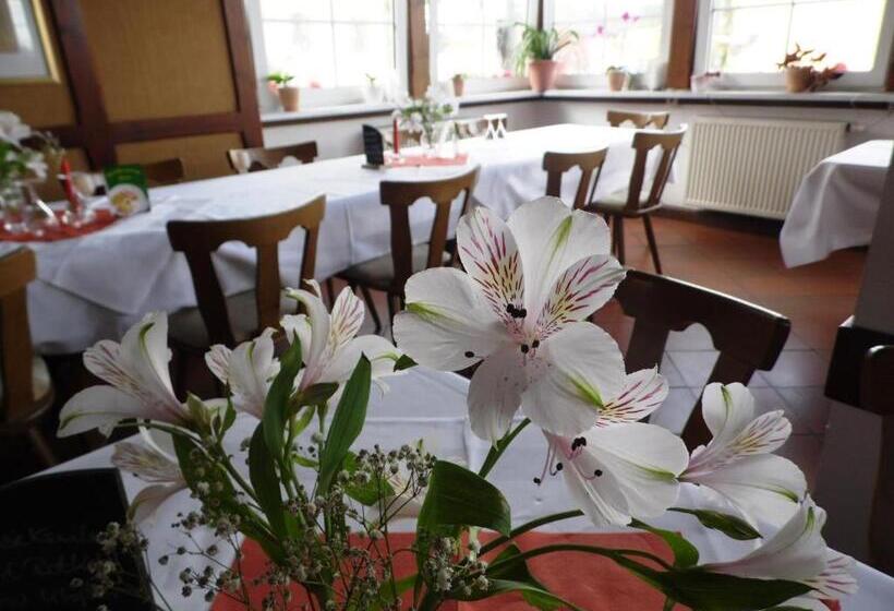 호텔 & Restaurant Zur Weintraube