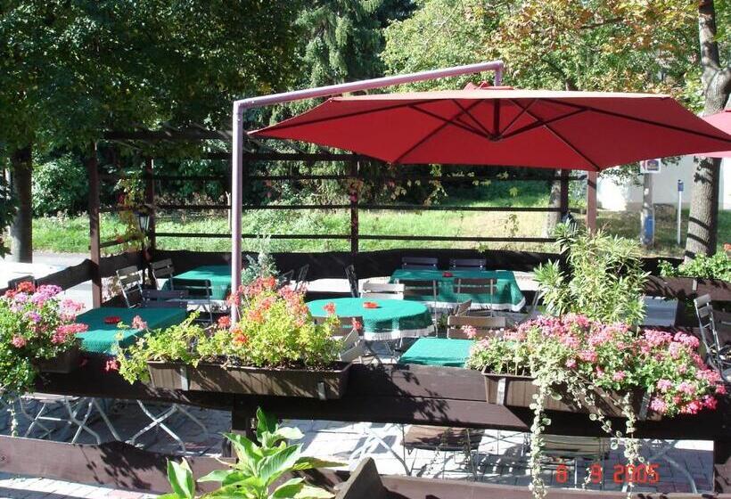 호텔 & Restaurant Zur Weintraube