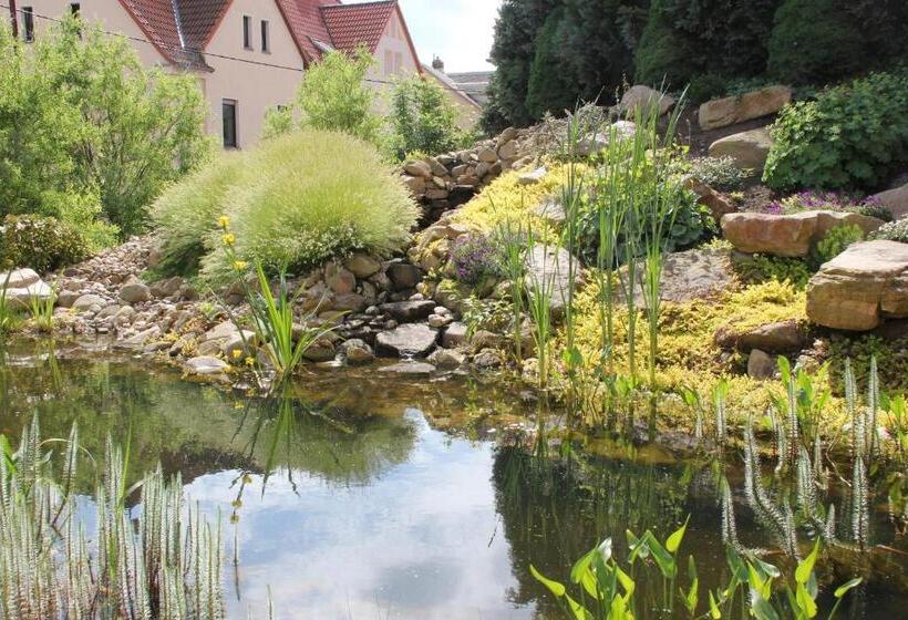 Отель Schloßblick Trebsen