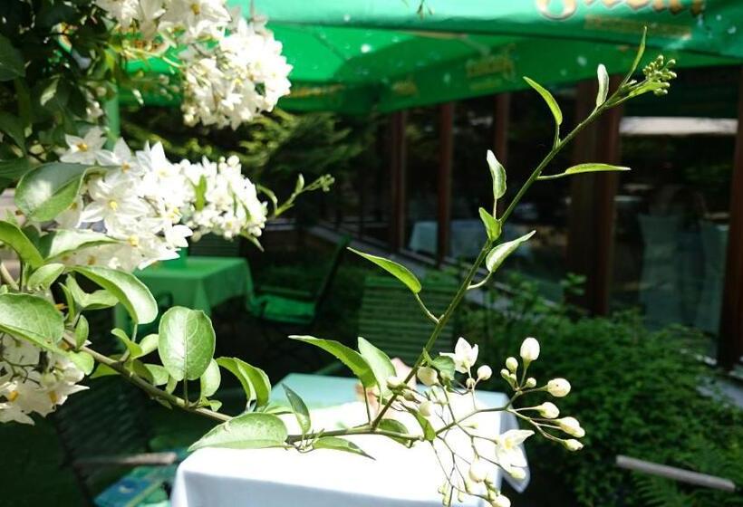 فندق Schneiderlein