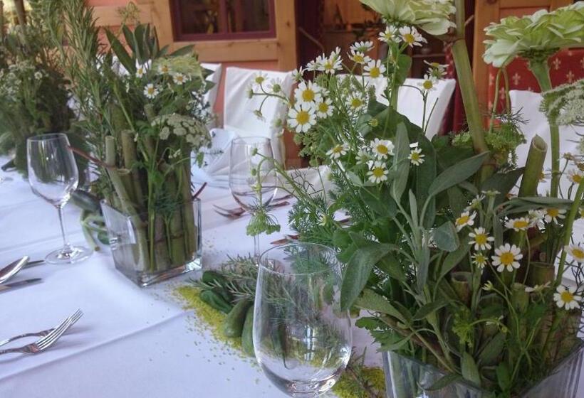 فندق Schneiderlein