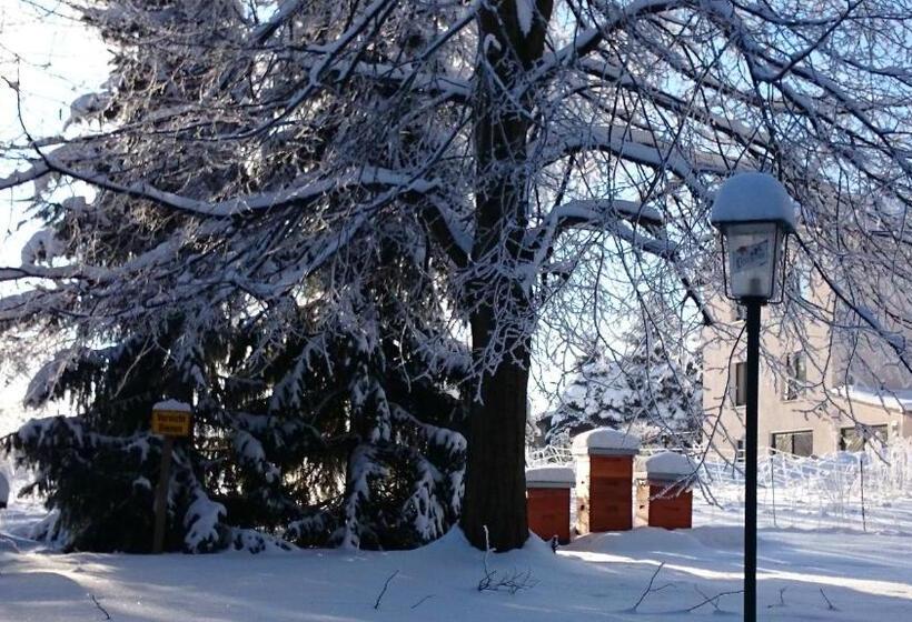 فندق Schneiderlein