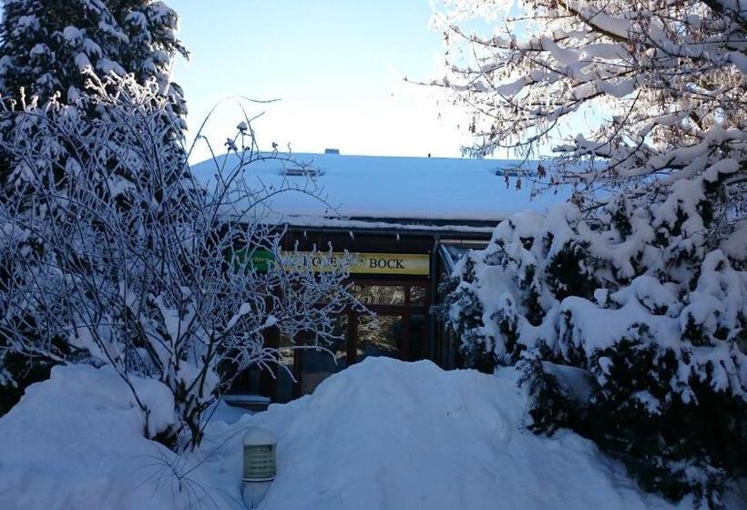 فندق Schneiderlein