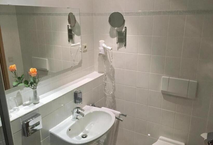 فندق Schneiderlein