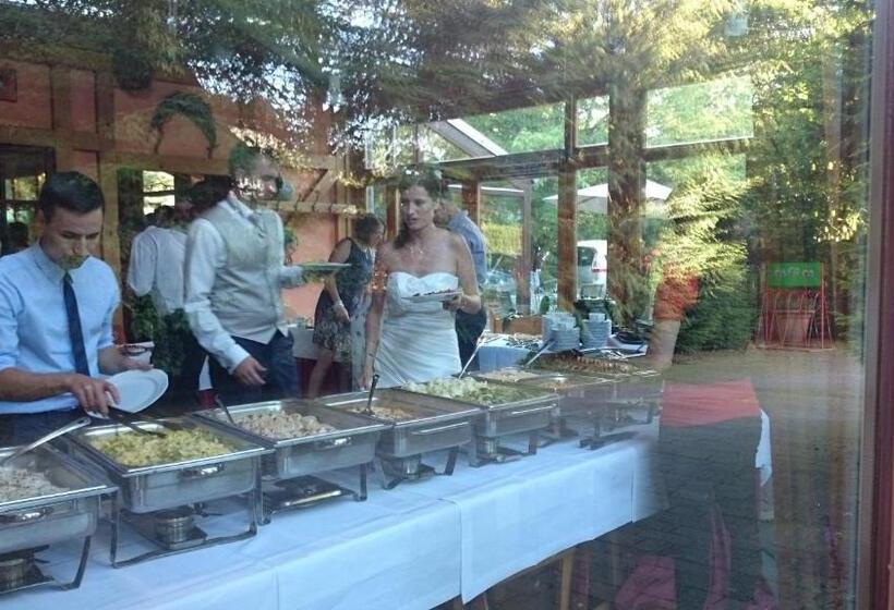 فندق Schneiderlein