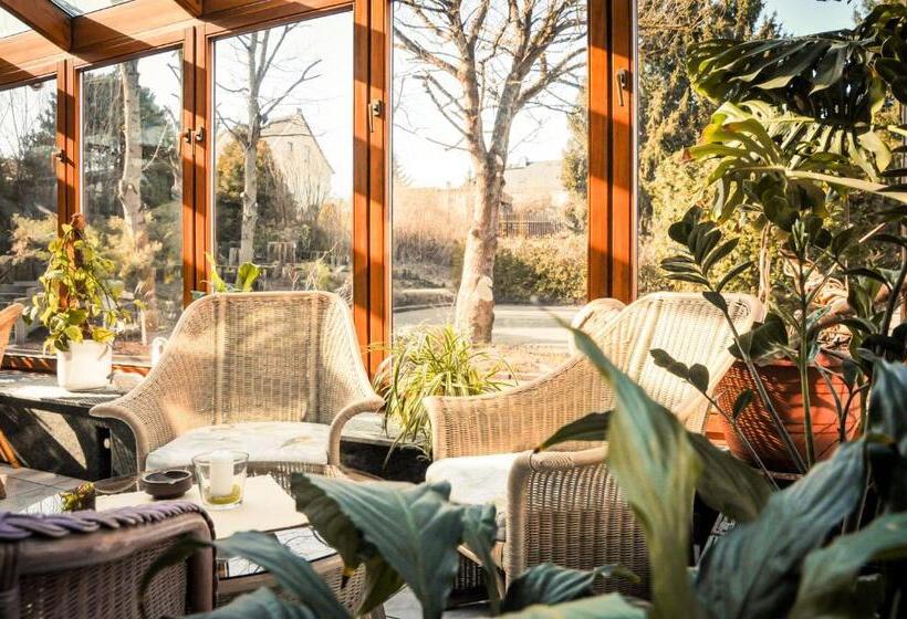 فندق Schneiderlein