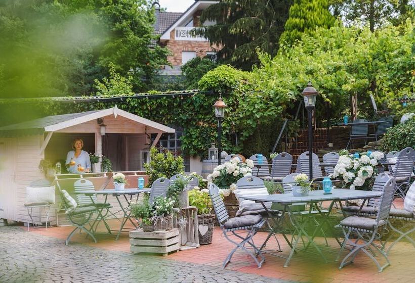 בית מלון כפרי Sengelmannshof