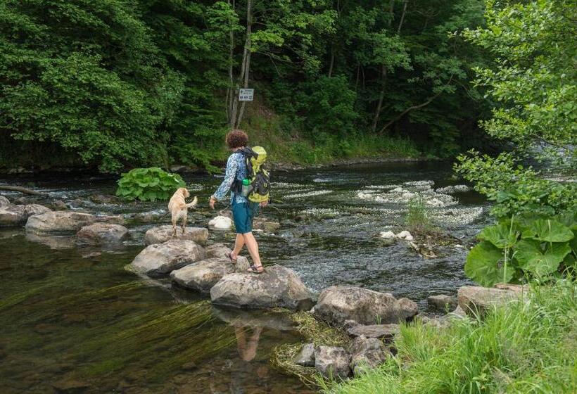 Vulkanhotel Balance&selfness S