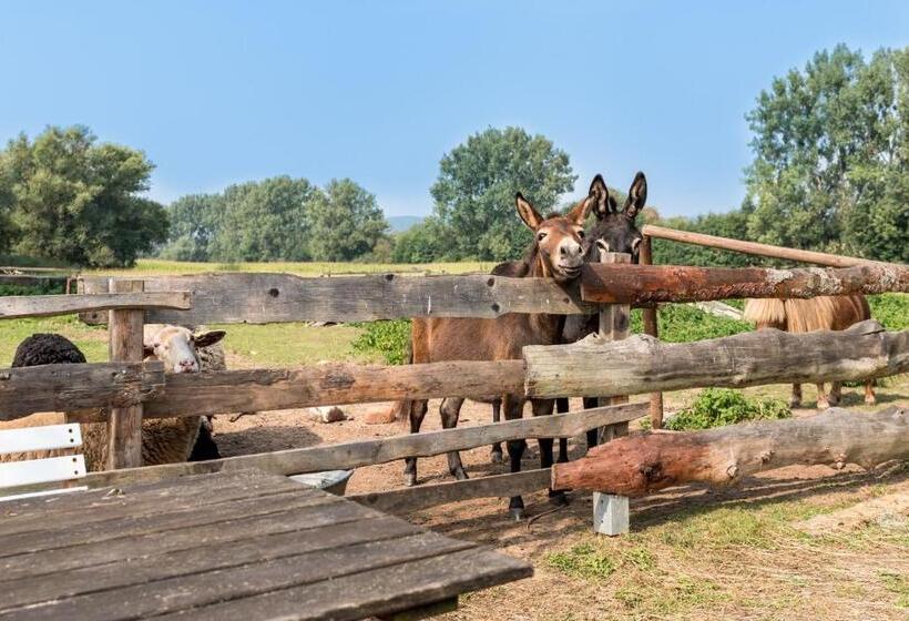 ホテル Weiße Mühle