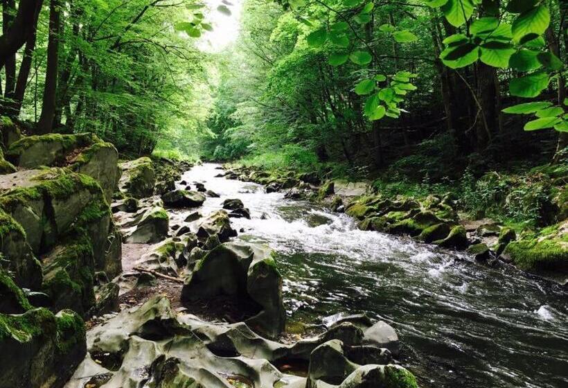 酒店 Weinhaus Eberitzsch Gmbh