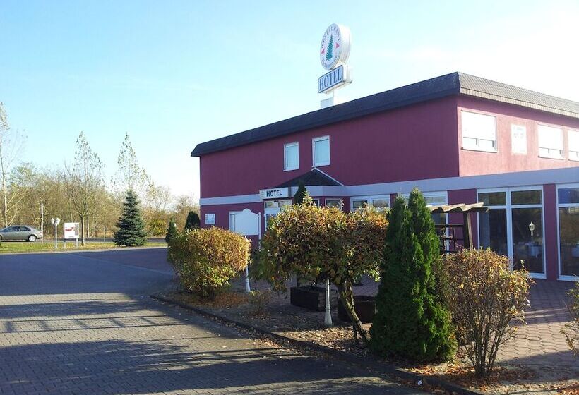 فندق Zur Fichtenbreite Garni